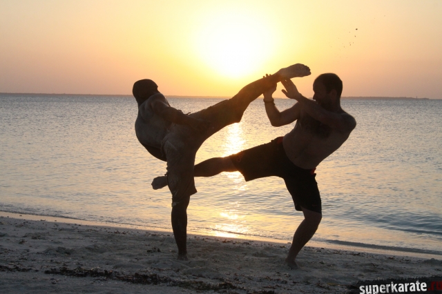 Каратэ в Африке